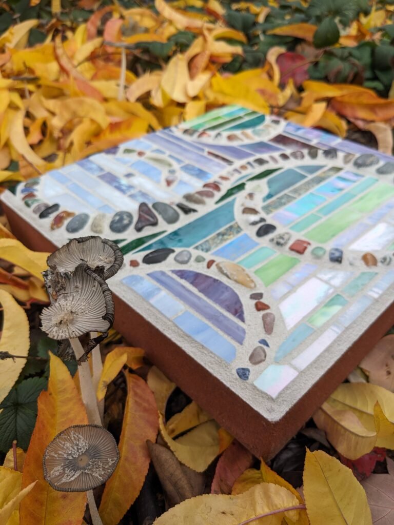 pxl 20231110 194309719