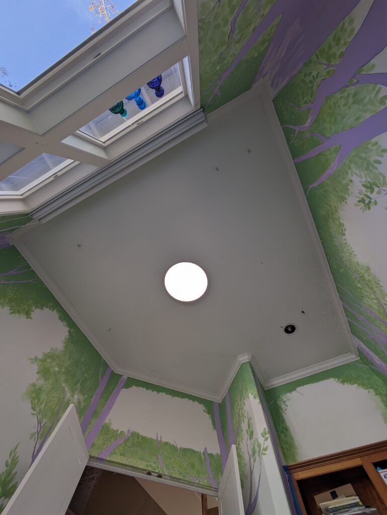 pxl 20240410 165514030