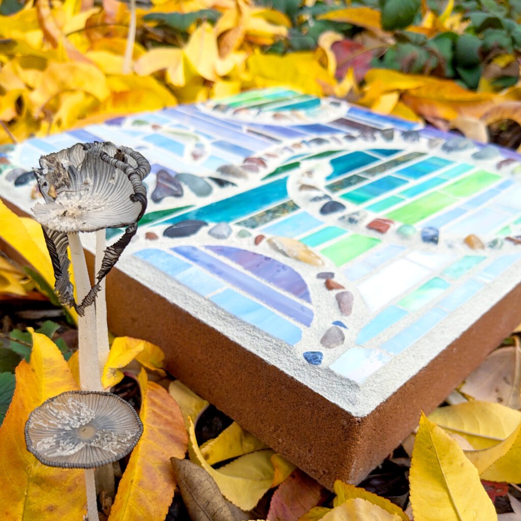 pxl 20231110 194330685