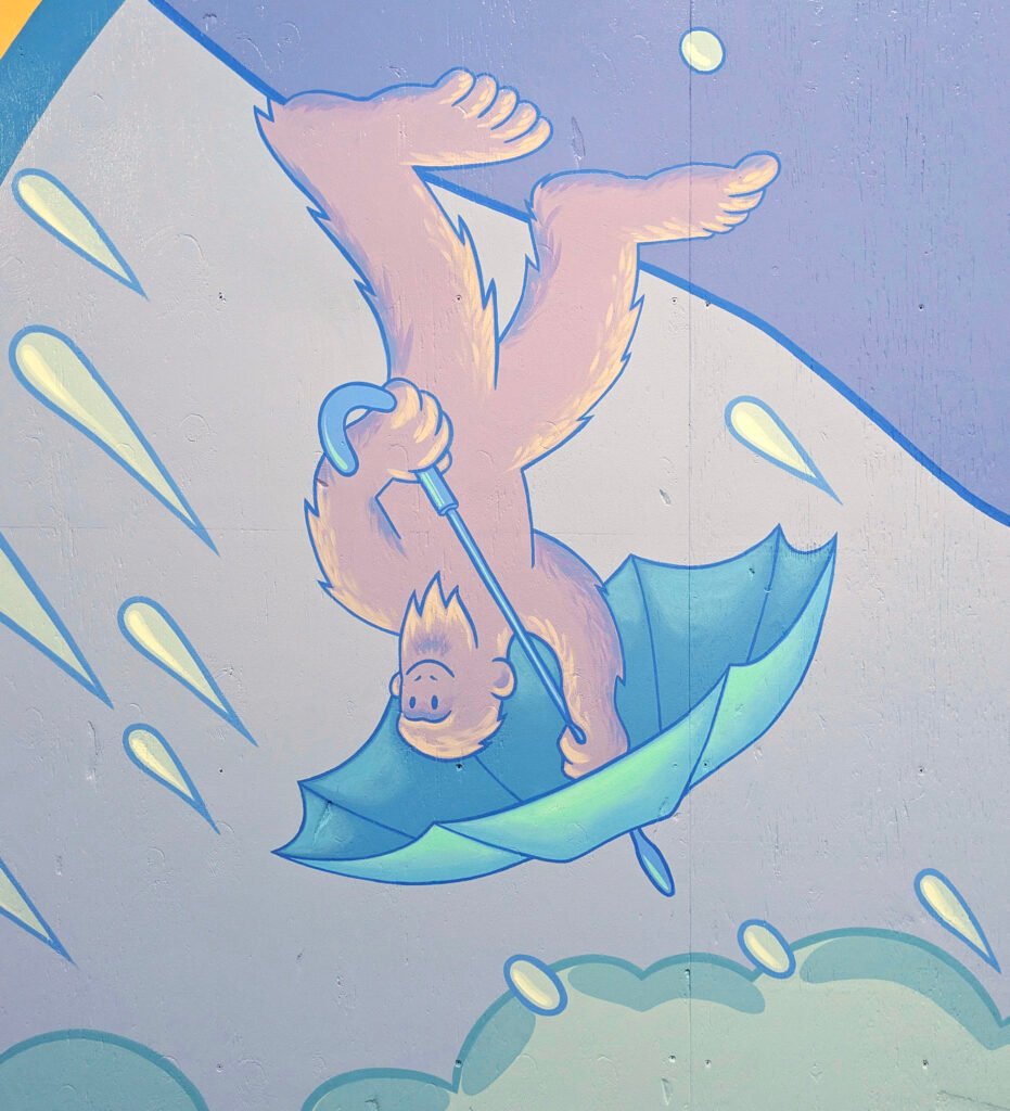 pxl 20260115 204652344